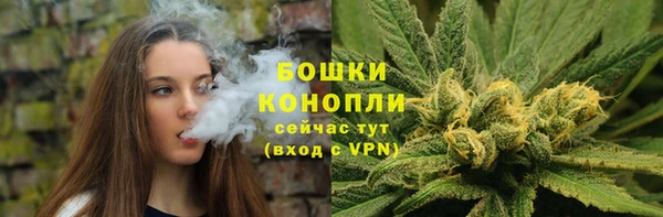 соль ск Белокуриха