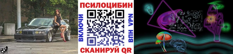 Купить закладки  Терек  Галлюциногенные грибы GOLDEN TEACHER 