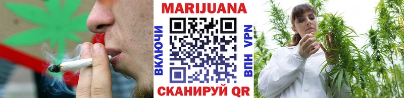 Купить где  Терек  Марихуана сатива 