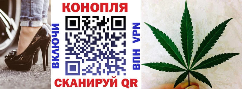 Шишки марихуана конопля Терек